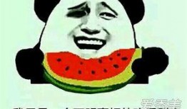 给免费吃瓜,揭秘娱乐圈幕后故事